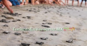 Lanza Sectur campaña Ven y vive el verano en Veracruz