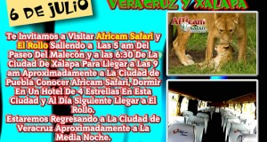 Africam Safari y El Rollo Te Esperan Este 6 De Julio