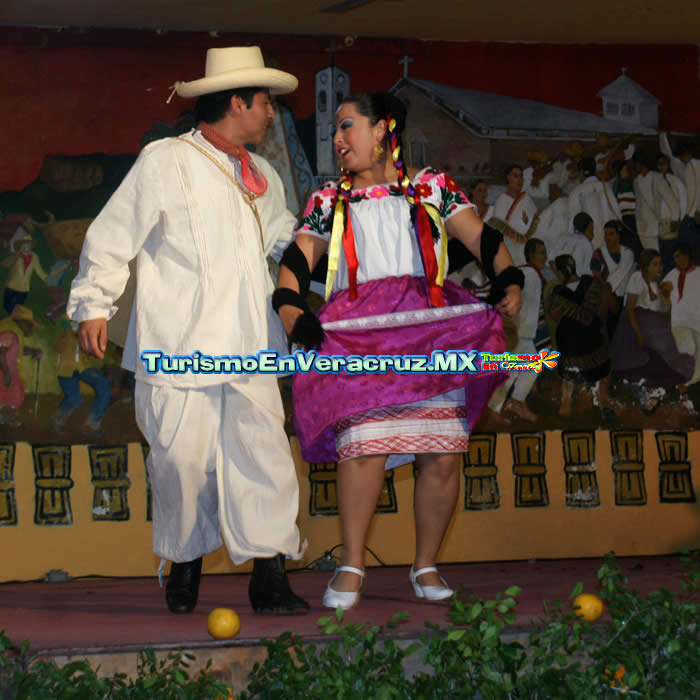 Amatlán, cuna de la cultura y tradición del huapango: Sectur