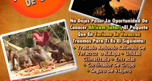 Vamos a Africam Safari Este 2 De Marzo y 6 De Abril Saliendo De Veracruz, Cardel y Xalapa