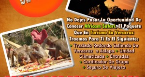 Vamos a Africam Safari Este 6 De Abril Saliendo De Veracruz, Cardel y Xalapa