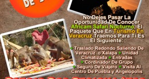 Excursión a Africam Safari Nocturno Este 28 De Diciembre Saliendo De Veracruz y Xalapa
