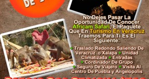 Vamos a Africam Safari Este 26 De Abril Saliendo De Veracruz, Cardel y Xalapa