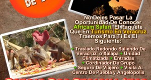 Vamos a Africam Safari Este 29 De Marzo Saliendo De Veracruz, Cardel y Xalapa