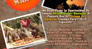 Vamos a Africam Safari Este 15 De Marzo Saliendo De Veracruz, Cardel y Xalapa