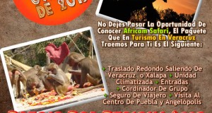 #Excursión a #AfricamSafari Este 18 De Octubre Saliendo De #Veracruz y #Xalapa