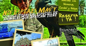 #Excursión a #AfricamSafari Este 27 De Diciembre Saliendo De #Veracruz y #Xalapa