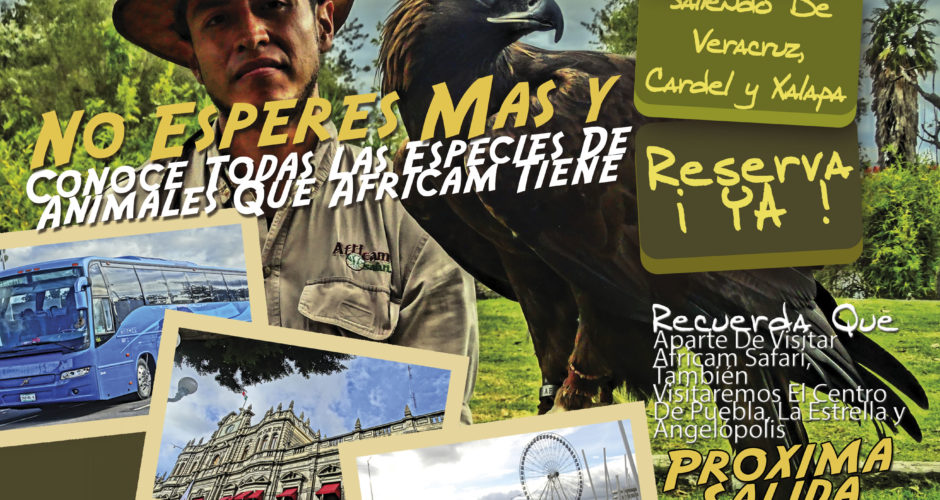 #Excursión a #AfricamSafari Este 5 de Febrero De 2017 Saliendo De #Veracruz y #Xalapa